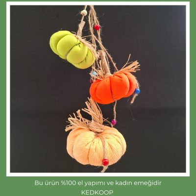 3'lü kabak mutfak süsü