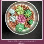 kokulu kavanoz mum (kaktüs) - Görsel 3
