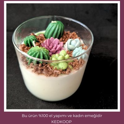 kokulu kavanoz mum (kaktüs)
